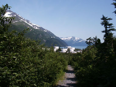 Click to Enlarge